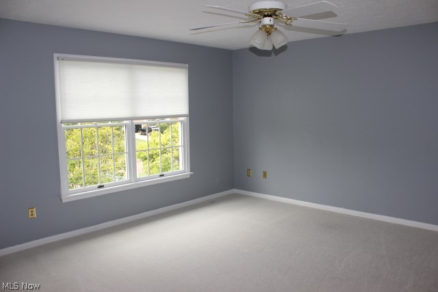 Mayfair Estates Ph IV - Residential