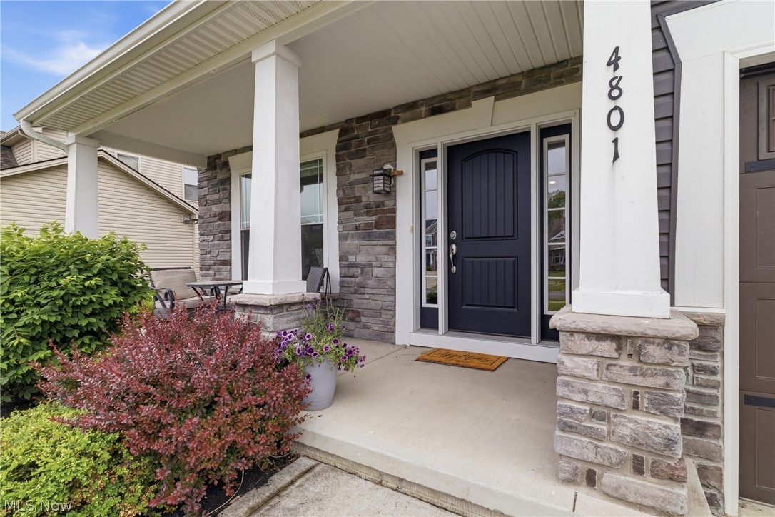4801 Stag Thicket Lane