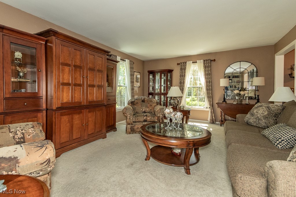7756 Litchfield Drive, Mentor, Ohio image 23