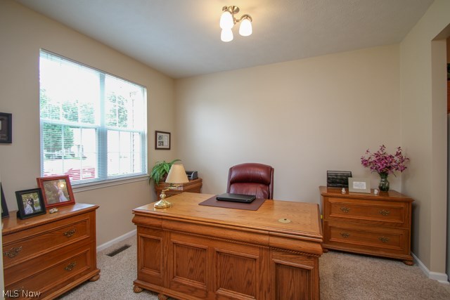 Commons in the Falls Condominium - Residential