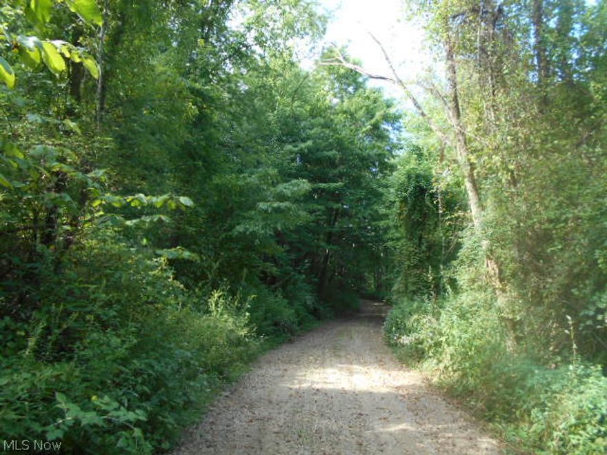 Great opportunity to own the acreage that has multiple uses. Abundant wildlife including deed and turkey in the heart of ohio big buck country. this mostly wooded tract has an older farmhouse in poor condition and very little cleared area.there is an older 12x80 mobile home that needs work. The property has been selectively timber approx every 15 years. There is a deeded access road off of S.R 541 and roads and trails throughout the property. Perfect for recreation or hunting land, there are also great sites to build your dream house. eighty five of the 88 acres will convey . Sellers do not own coal rights and will transfer all,if any, gas and oil rights.    Reasonably priced at only 4900/acre.