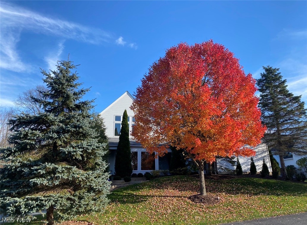 Arrowwood/Walden Condo - Residential