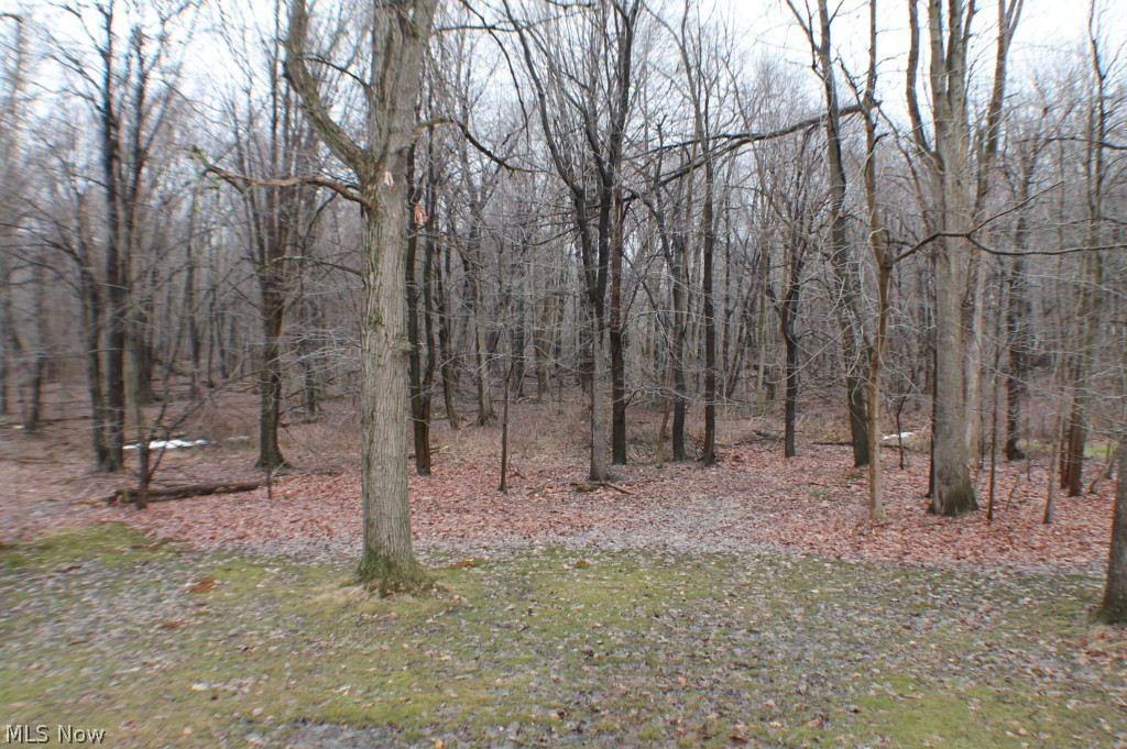 Aurora Shores - Residential