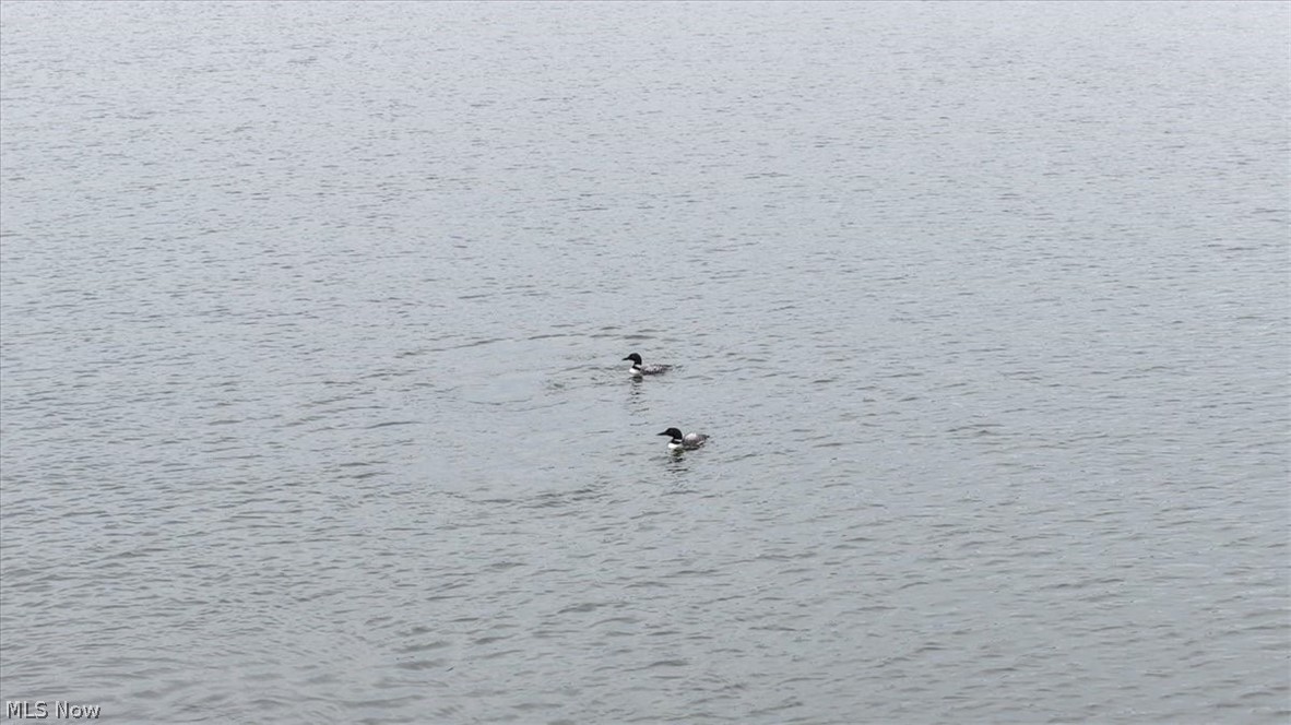 Orchard Hills 1 - Residential