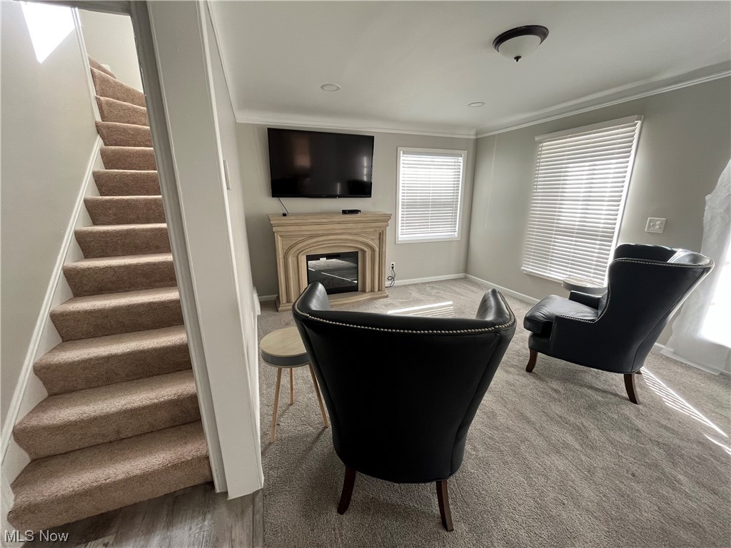 City Allotment Cos Shaker Vie - Residential