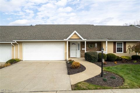 223 Park Place Drive Wadsworth OH 44281