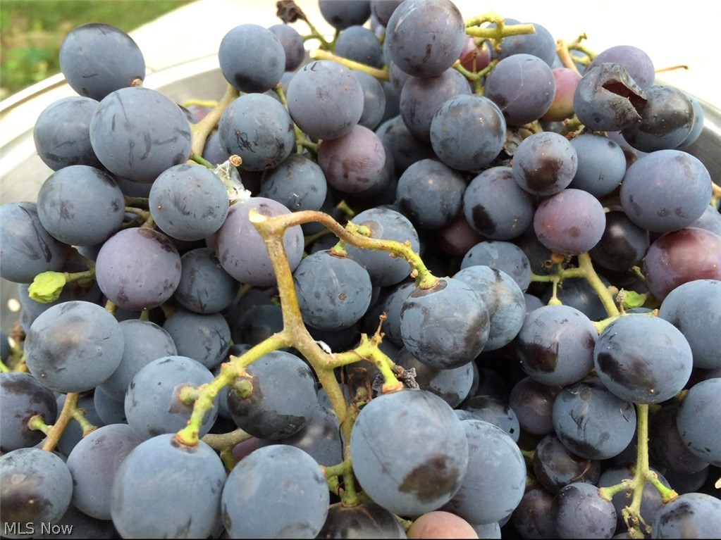 Hathaway Road Sub/A H Blackleg - Residential