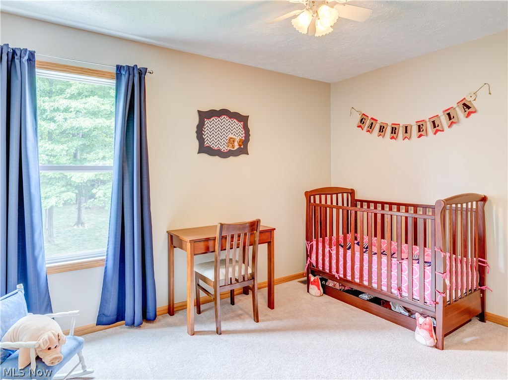 Paddington Woods - Residential