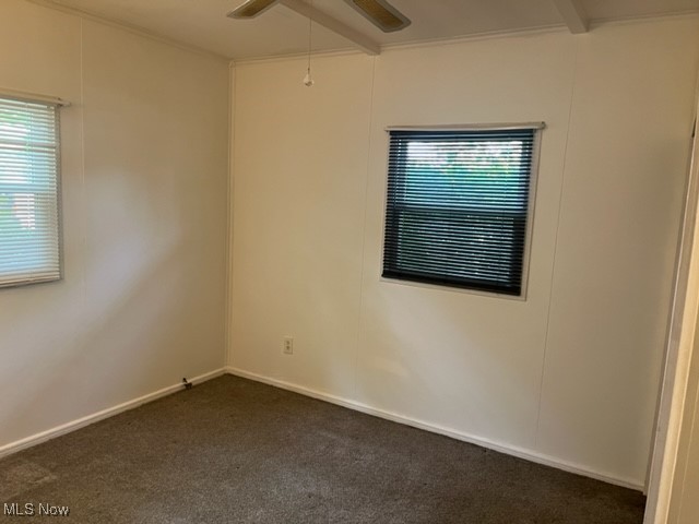 13421 Thornhope Road, Cleveland, Ohio image 12