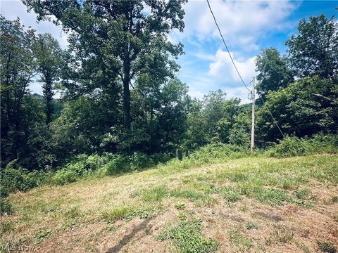 Tiny photo for 40682 Road Fork Road, Caldwell, OH 43724 (MLS # 5228568)