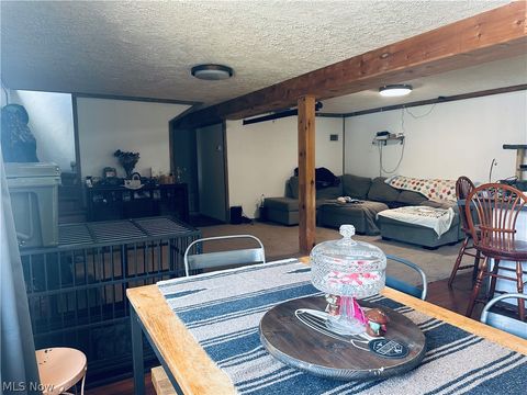 Tiny photo for 40682 Road Fork Road, Caldwell, OH 43724 (MLS # 5228568)