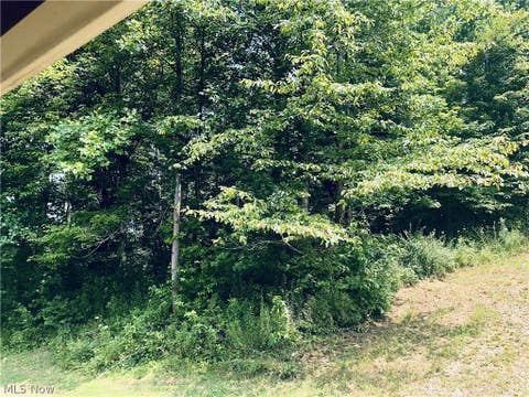 Tiny photo for 40682 Road Fork Road, Caldwell, OH 43724 (MLS # 5228568)