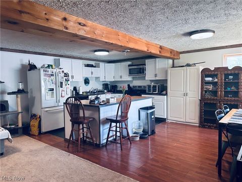Tiny photo for 40682 Road Fork Road, Caldwell, OH 43724 (MLS # 5228568)
