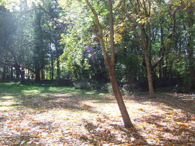 Great lot, almost an acre, ready for your dream home. Deep lot, some trees, great location.
