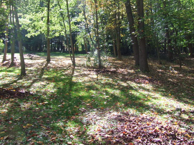 Clairmont Acres - Land