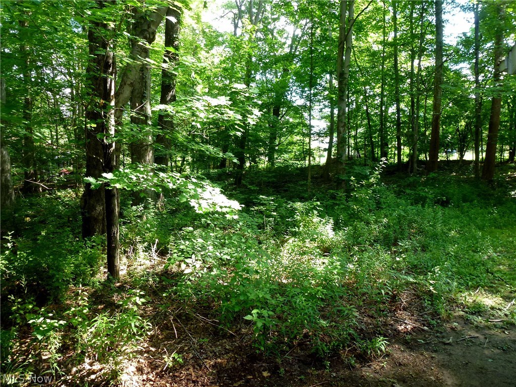 Living Homes 02 - Residential