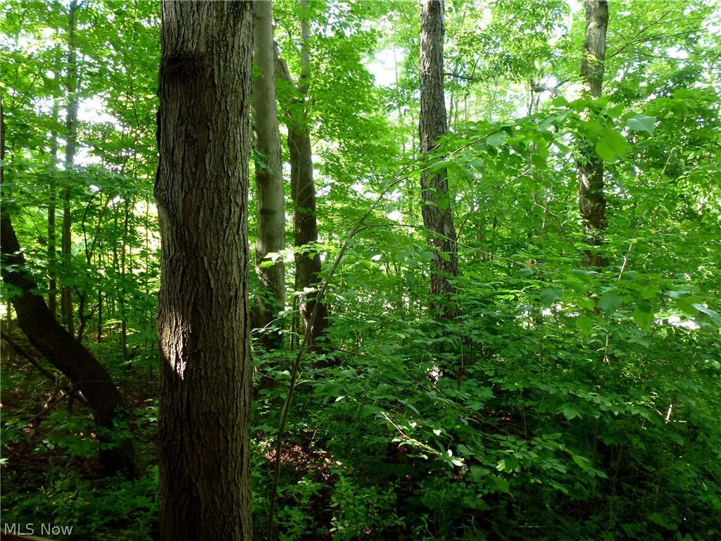 Living Homes 02 - Residential