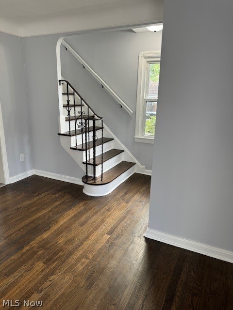 Tuxedo Orchard - Residential