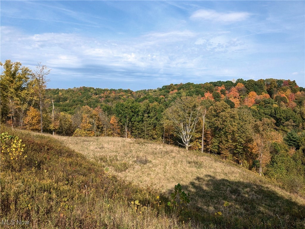 6080 W Sharps Ridge Road, Mcconnelsville, Ohio image 33