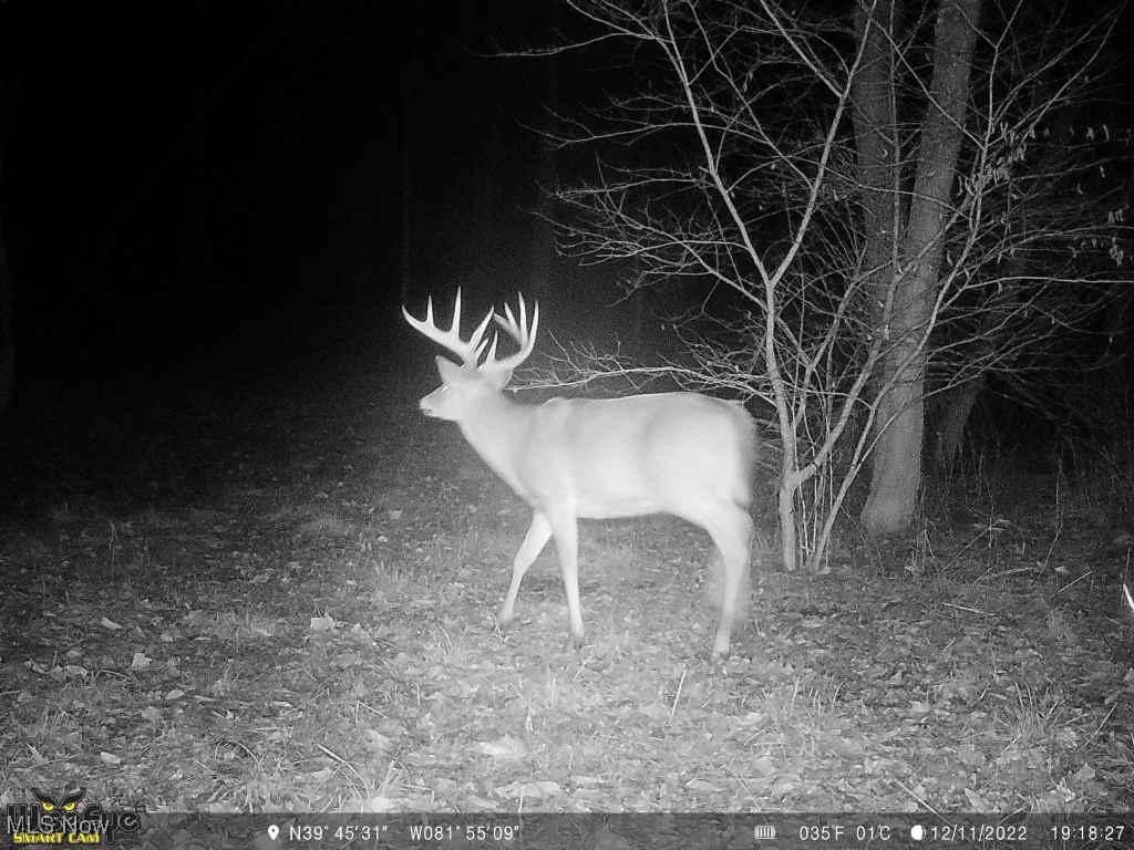 6080 W Sharps Ridge Road, Mcconnelsville, Ohio image 36