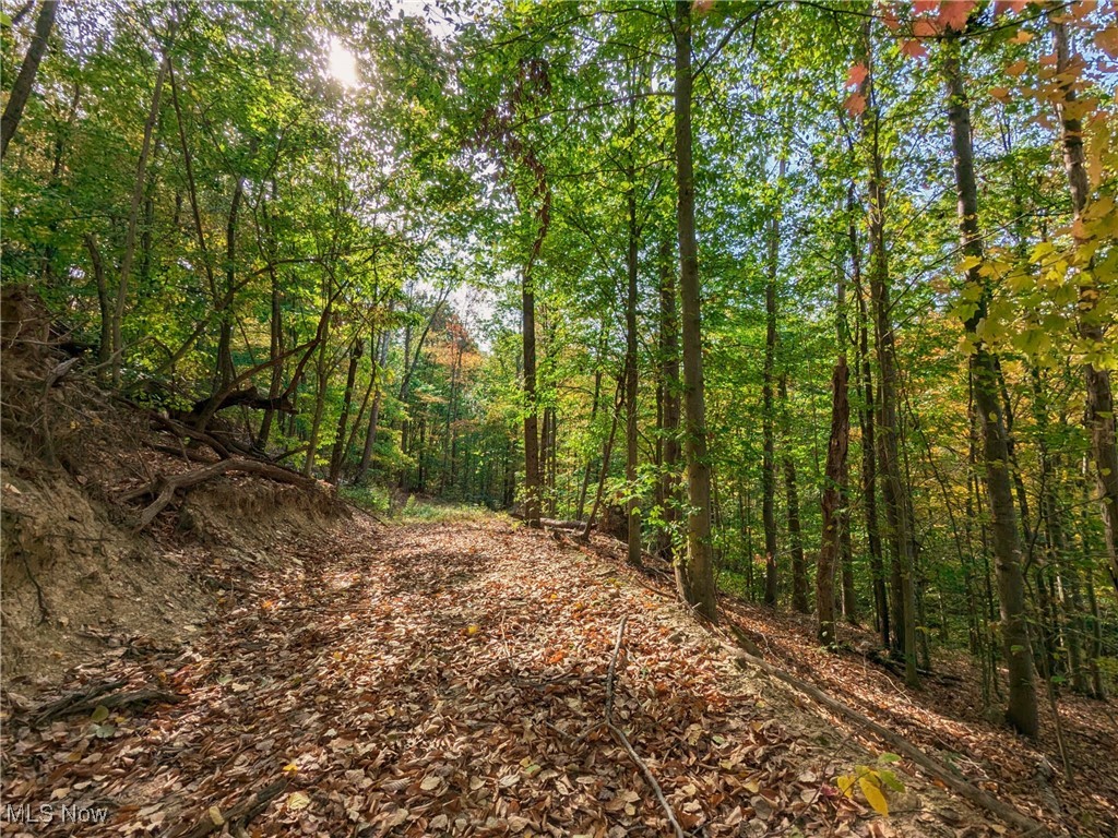 6080 W Sharps Ridge Road, Mcconnelsville, Ohio image 3