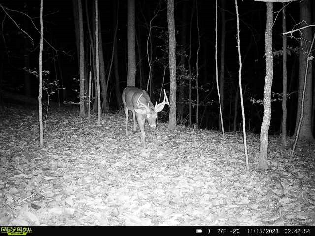 6080 W Sharps Ridge Road, Mcconnelsville, Ohio image 6