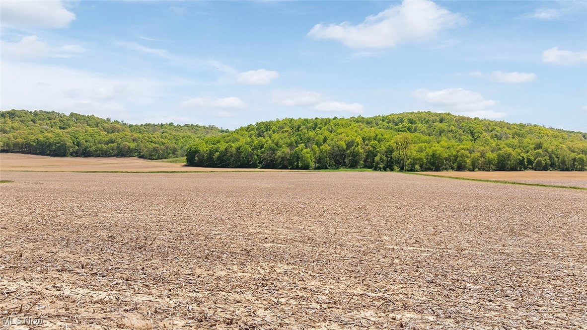 40319 County Road 19, Killbuck, Ohio image 44