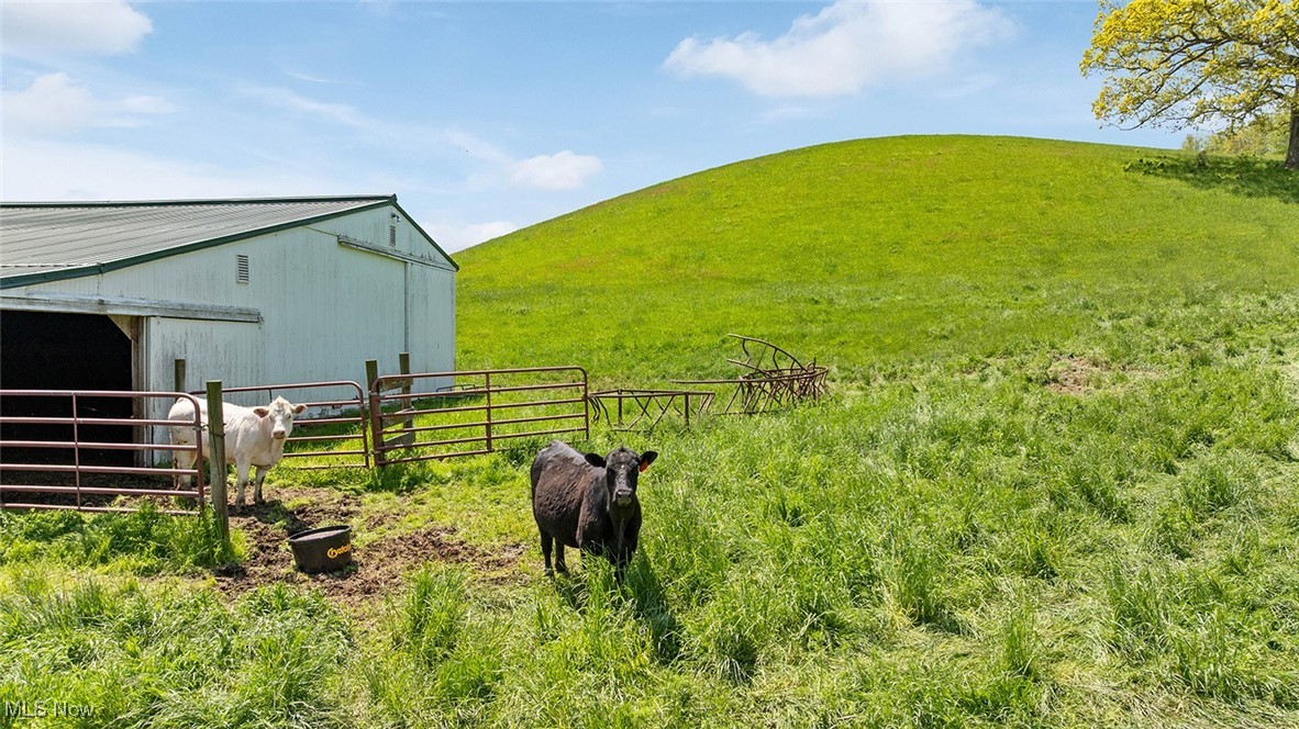40319 County Road 19, Killbuck, Ohio image 42