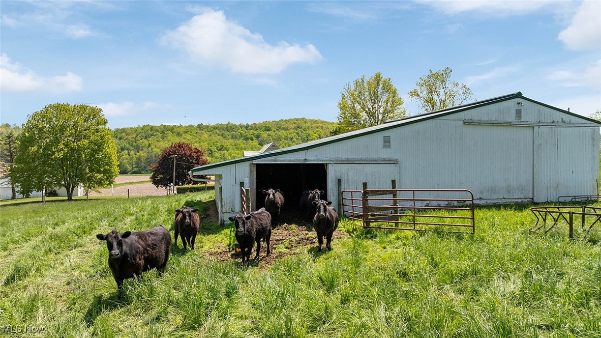 40319 County Road 19, Killbuck, Ohio image 41