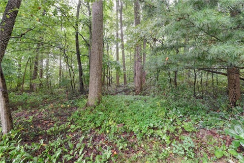 Tiny photo for 5771 County Road 407, Millersburg, OH 44654 (MLS # 5246642)
