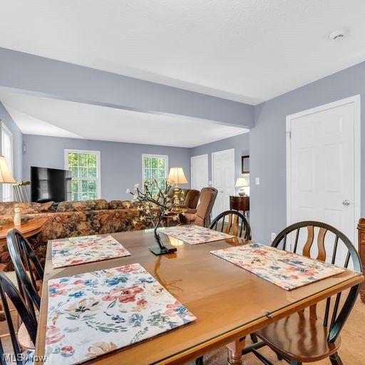 Lois G Wellman Trust - Residential