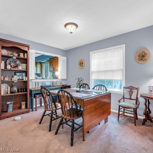 Lois G Wellman Trust - Residential