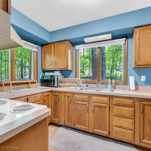 Lois G Wellman Trust - Residential