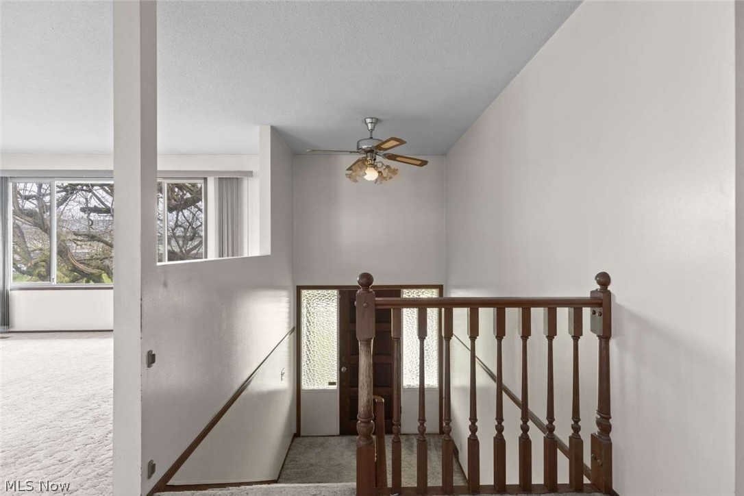 Elmwood Allotment - Residential