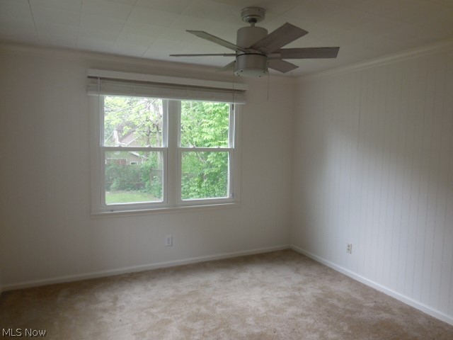 Buena Vista - Residential