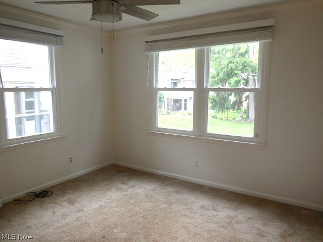 Buena Vista - Residential