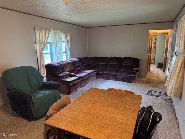 8701 Mayfield Road, Chesterland, Ohio image 8