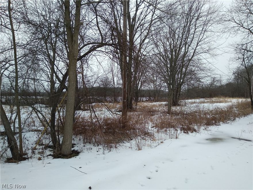 Great township buildable lot. At one time there was a home on property. electrical and water have been run to a certain point could be extended. Nice trees. Old septic is still on the property. Great private location with no restrictions. Bring your builder!!