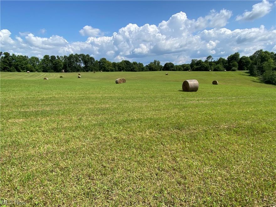 Land for sale in Guernsey County, Ohio.  Hard to find, multi-use property that is minutes from Salt Fork Lake.  This mix of open hayfield and mature hardwoods has something for everyone.  It would make a great new home or cabin site, recreational property, hunting land, or small horse and cattle farm.  Year-round flowing creek, walking trail down into the woods, with beautiful, rolling topography priced very fairly and just a short drive to I-77. Don't miss out on this great multi-use property.  Annual taxes are $509.48.   Mineral rights do not transfer.