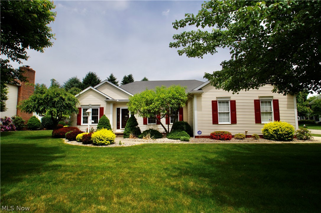Beacon Hill - Residential