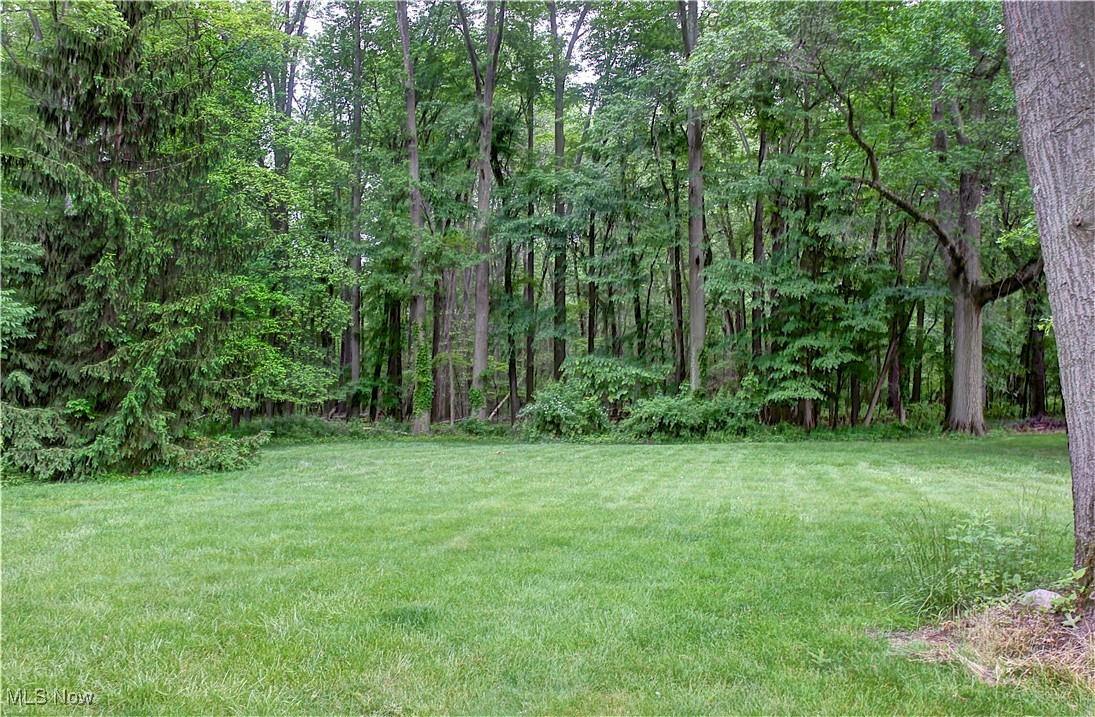29590 Broxbourne Road, North Olmsted, Ohio image 36