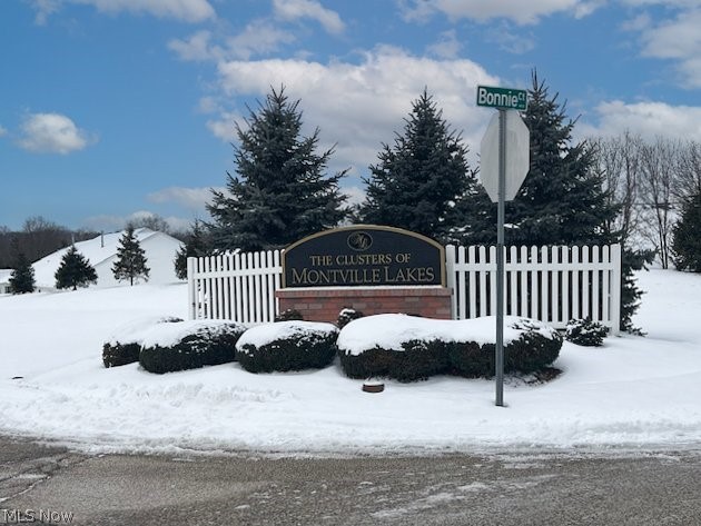 Clusters/Montville Lakes - Residential