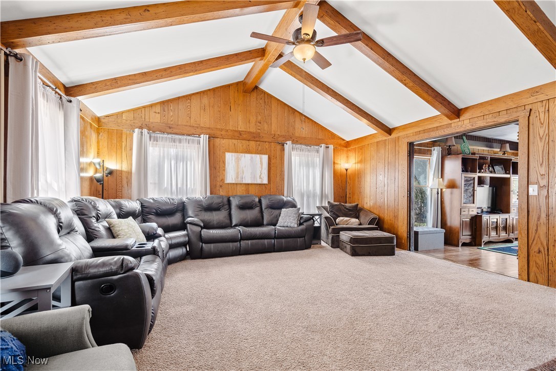 3789 Fenn Road, Medina, Ohio image 10