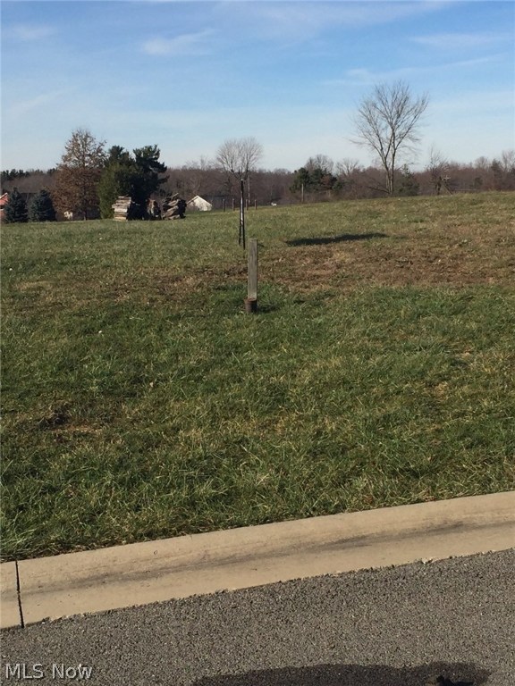 Beautiful lot available in desirable subdivision of The Lakes at Sharrott Hill. Close to shopping, restaurants, and the Ohio and PA turnpikes, and high-ranking South Range school district. Priced to sell quickly! Call today!