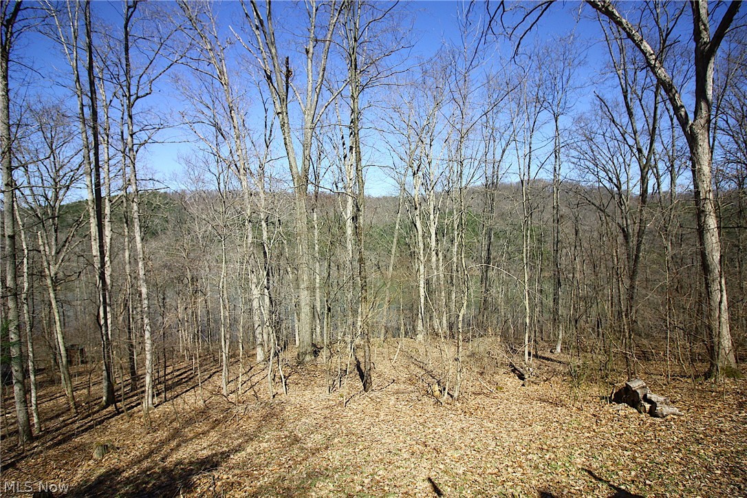 Hamilton Subdivision - Residential