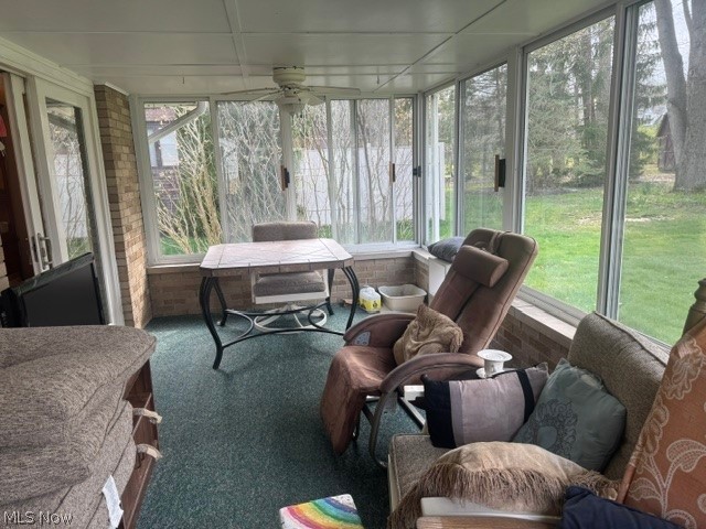 City/Canfield - Residential