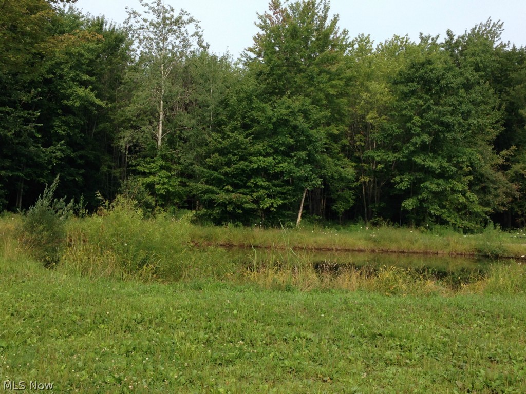 Pierpont - Residential