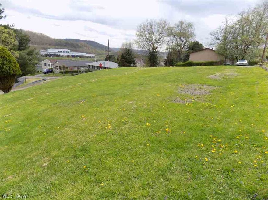 Wonderful opportunity to own and build your dream home in Shadyside with a great view. Close to shopping and schools.