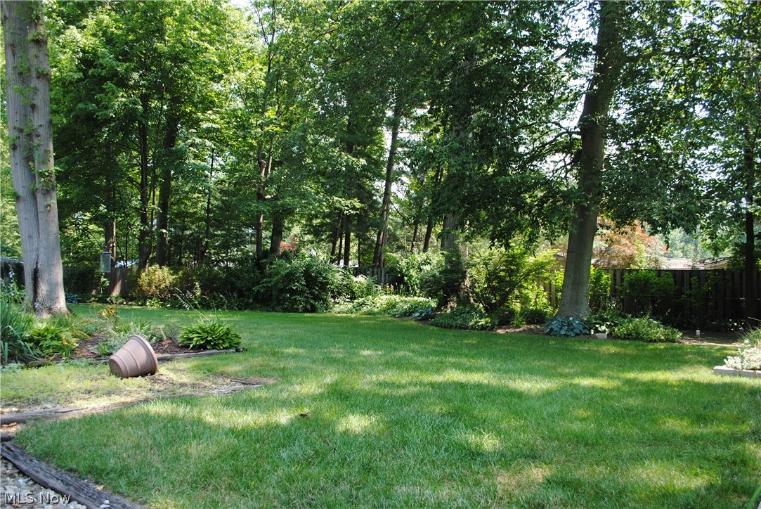 Forest Park - Residential