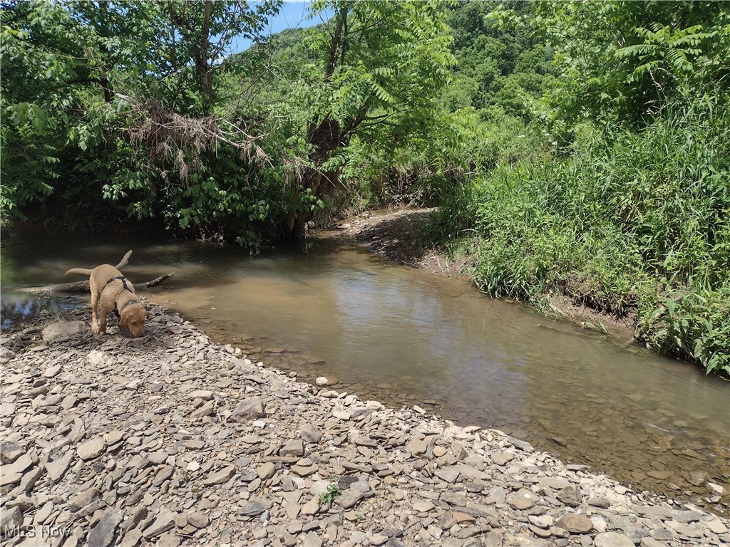 Road Fork Road, Caldwell, Ohio image 18